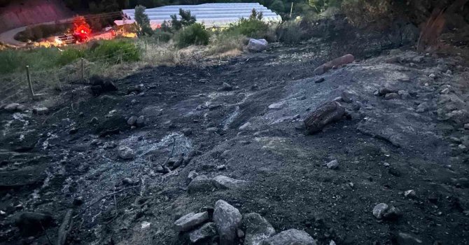 Serik’te orman yangını kısa sürede söndürüldü