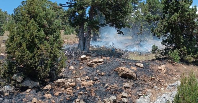 Mersin’de orman yangını, büyümeden söndürüldü