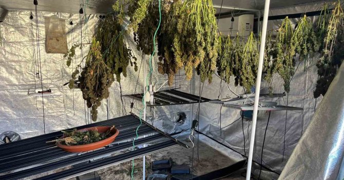 Yangın, uyuşturucu serasını ortaya çıkardı