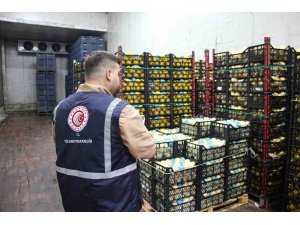 Mersin’de limon depoları denetleniyor