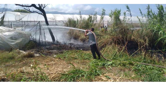Samandağ’da sera yangını