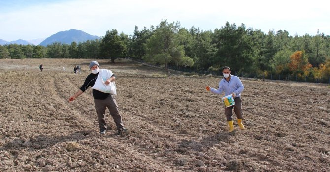 Büyükşehir’den çiftçilere tohum desteği