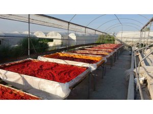 Mersin’de biber salçası üretimi başladı