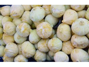 Mersin Mut’ta incir hasadı sürüyor: Bahçede 80 TL