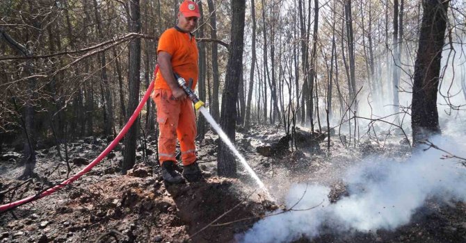 Kırsal alanda çıkan yangın 3 sera ve ormanlık alana zarar verdi