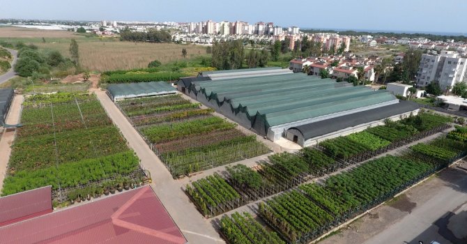 Üreten belediye Muratpaşa