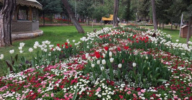 Kepez’in Kent Ormanı 2021 baharına hazırlanıyor