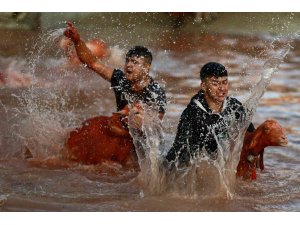 Kök boyalarla boyanıp boncuklarla süslenen koyunlar, çobanların arkasından suya atladı