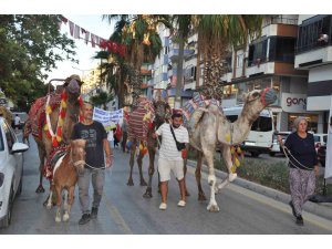 Silifke’de festival coşkusu