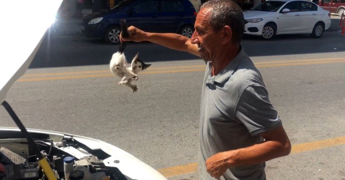 Duyarlı vatandaşlardan kedi operasyonu