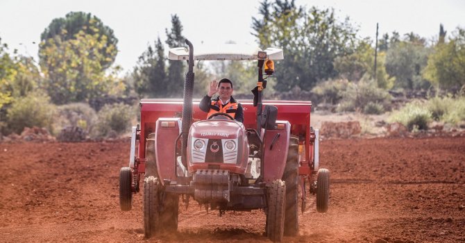 Kepez’in buğday ovaları yemyeşil