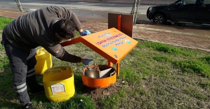 Konyaaltı’nda can dostlar unutulmuyor