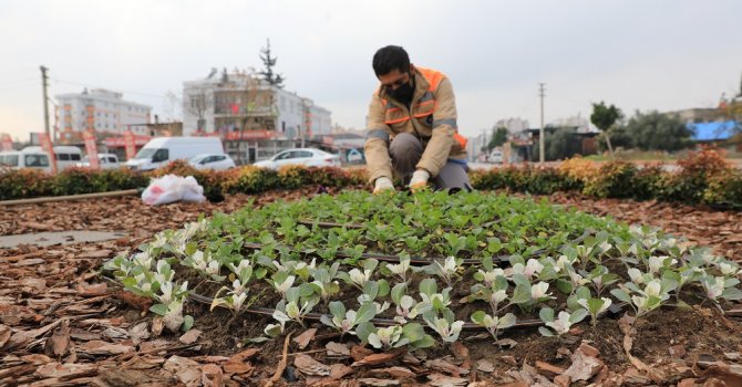 Büyükşehir’den kavşaklara peyzaj düzenlemesi