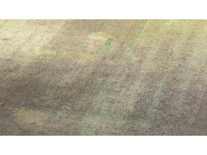 Yeni Adana Stadyumu’nun zemini içler acısı halde