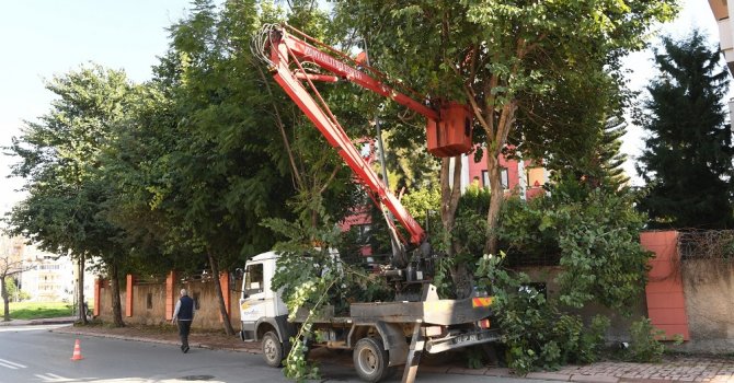 Başkan Esen: “Konyaaltı her zaman yeşil”