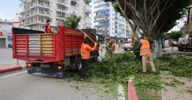 Büyükşehir kısıtlama günlerinde de görev başında