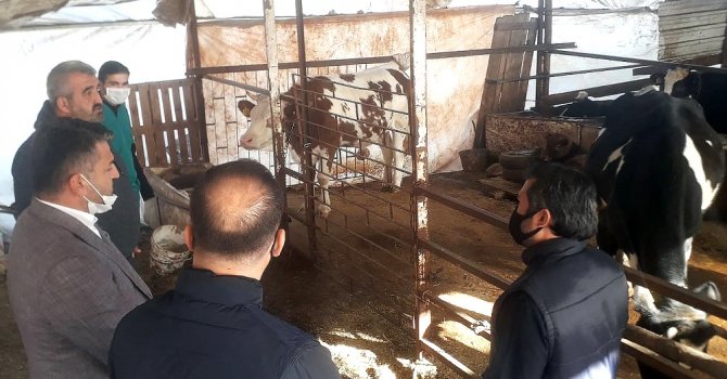 Demre’deki besicilerin ihtiyaçları belirlendi