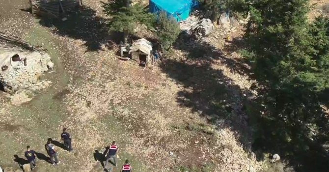 Ormanlık alanda uyuşturucu yetiştiren şüpheliler suçüstü yakalandı