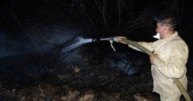 Mersin’de orman yangınları: Çok sayıda ekip müdahale ederek söndürdü