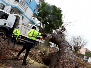 Muratpaşa’da mesai gece yarısı başladı