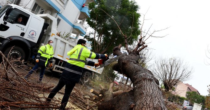 Muratpaşa’da mesai gece yarısı başladı