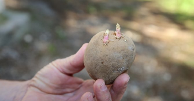 Tarıma bir destek daha