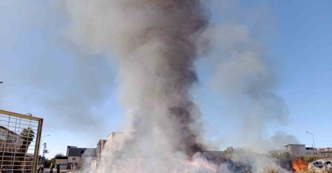 Mobilyacılar Sitesi’ndeki boş alanda yangın çıktı