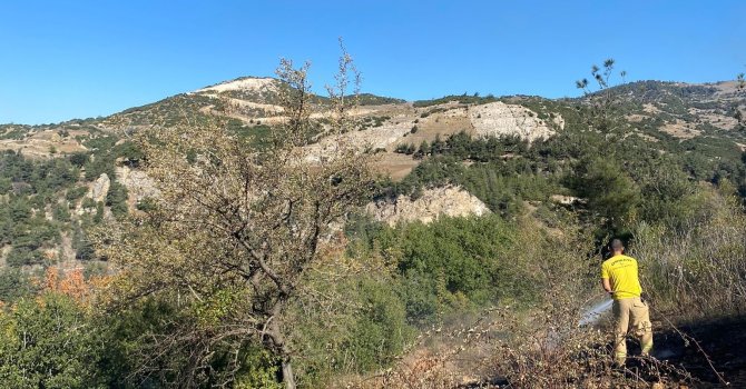 Osmaniye’de 2 noktada çıkan orman yangını söndürüldü