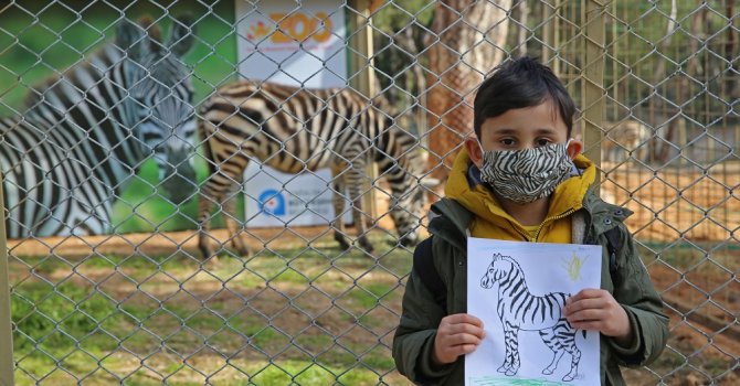 Hayvanat Bahçesi’nde Dünya Zebralar Günü için renkli kutlama