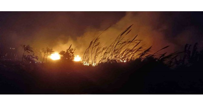 Samandağ’da alevler geceyi aydınlattı