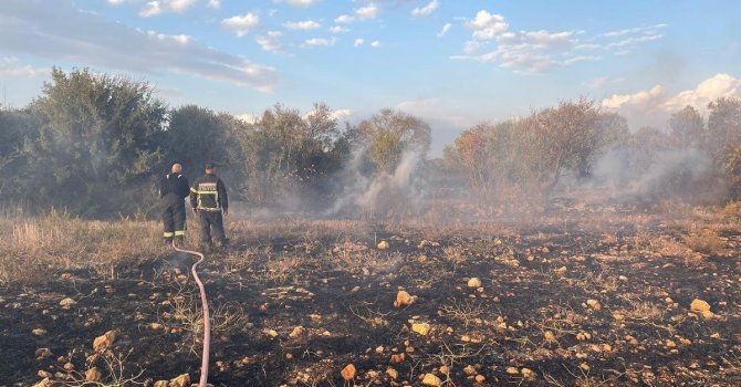 Defne’de zeytinlik alanda çıkan yangın söndürüldü