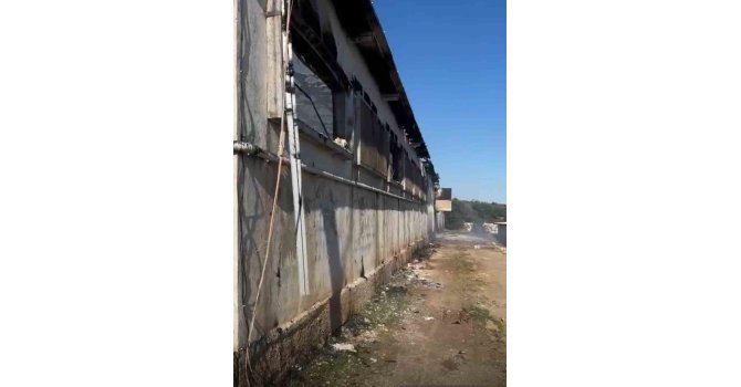 Tarsus‘ta tavuk çiftliğinde yangın 33 bin civciv telef oldu