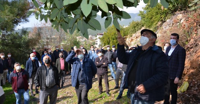 Büyükşehirden Alanyalı çiftçilere uygulamalı eğitim