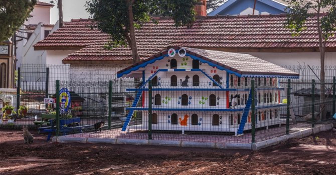 DokumaPark’a kedi apartmanı