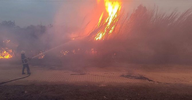 Kırıkhan’da sazlık alanda çıkan yangın büyümeden söndürüldü