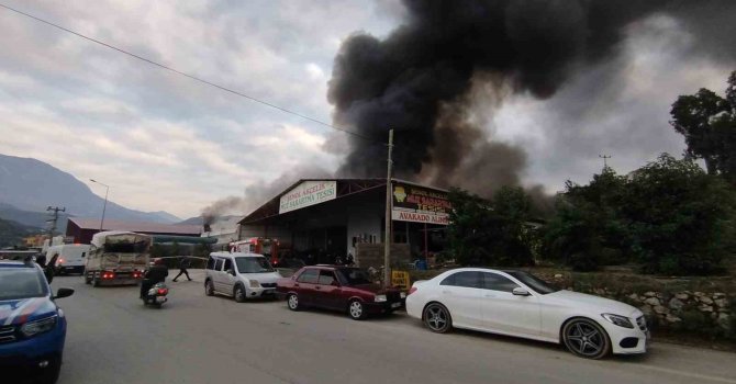 Alanya’da mobilya deposu yandı, alevler muz ve çiçek serasına sıçradı