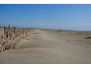 Adana’da erozyonla mücadele kapsamında fidan dikimi yapıldı.