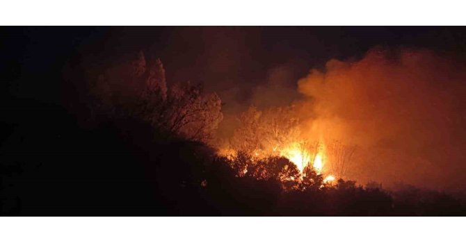 Dörtyol’da sazlık alanda yangın çıktı