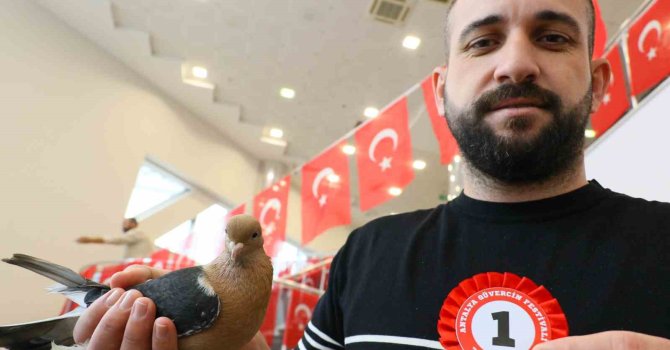 Milyonluk güvercinler Antalya’daki festivalde buluştu