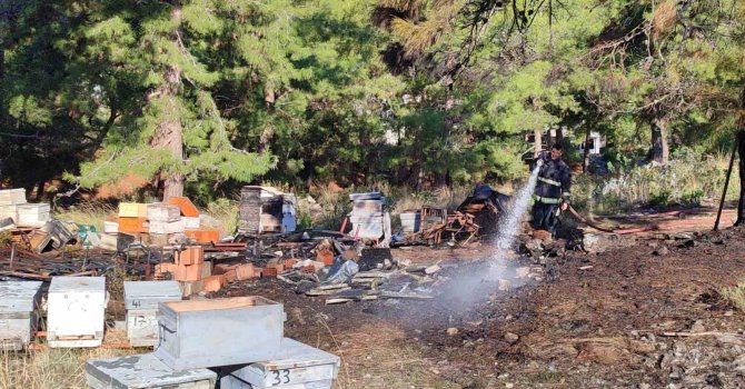 Mezarlıkta yangın çıktı, yanan 15 kovandaki arılar telef oldu