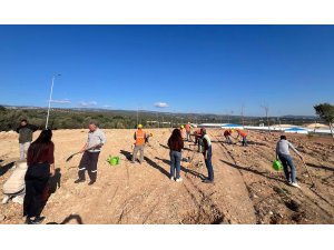 Mersin’de otoban yol kenarları ağaçlandırılıyor