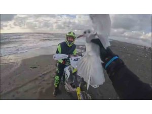 Motosikletiyle yakaladığı yaralı martıya can oldu