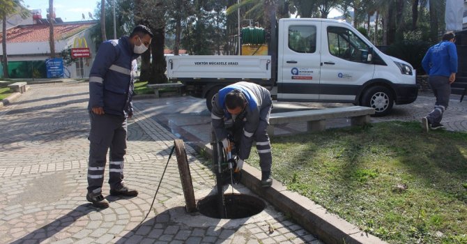 Sinekle mücadeleye devam