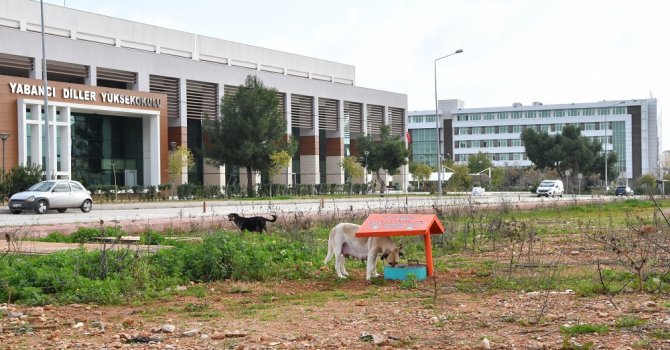 Konyaaltı Belediyesi’nden AÜ’ye beslenme odağı 