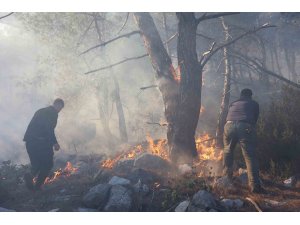 Büyükşehir itfaiyesinden orman yangınına müdahale desteği