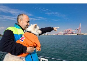 ’Köpük’, belediye personeliyle birlikte deniz kirliliğine karşı mücadele ediyor