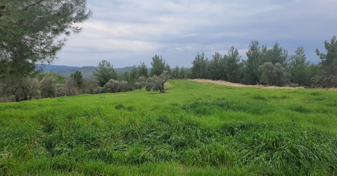 7 mahallede 5 bin dekar alan suya kavuşacak