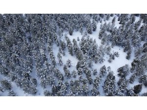 Adana’da kar yolları kapattı, kartpostallık görüntü oluşturdu