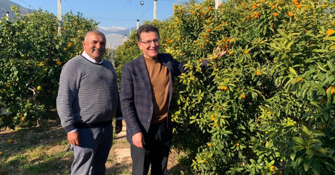 Atay Uslu örnek kamkat bahçesini gezdi