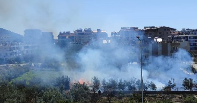Antalya’da sazlık alandaki yangın kontrol altına alındı